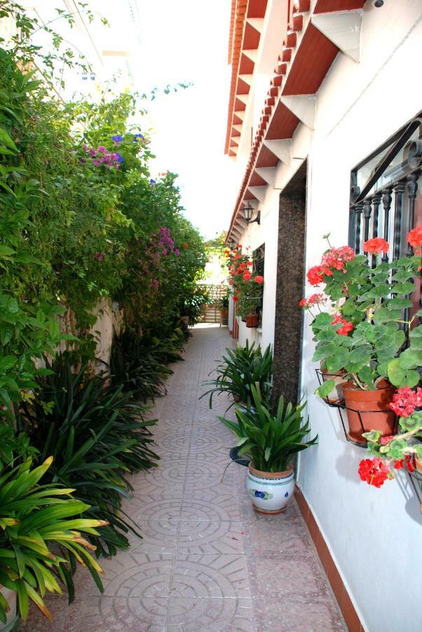 Apartamentos Inter Gandia Playa Kültér fotó